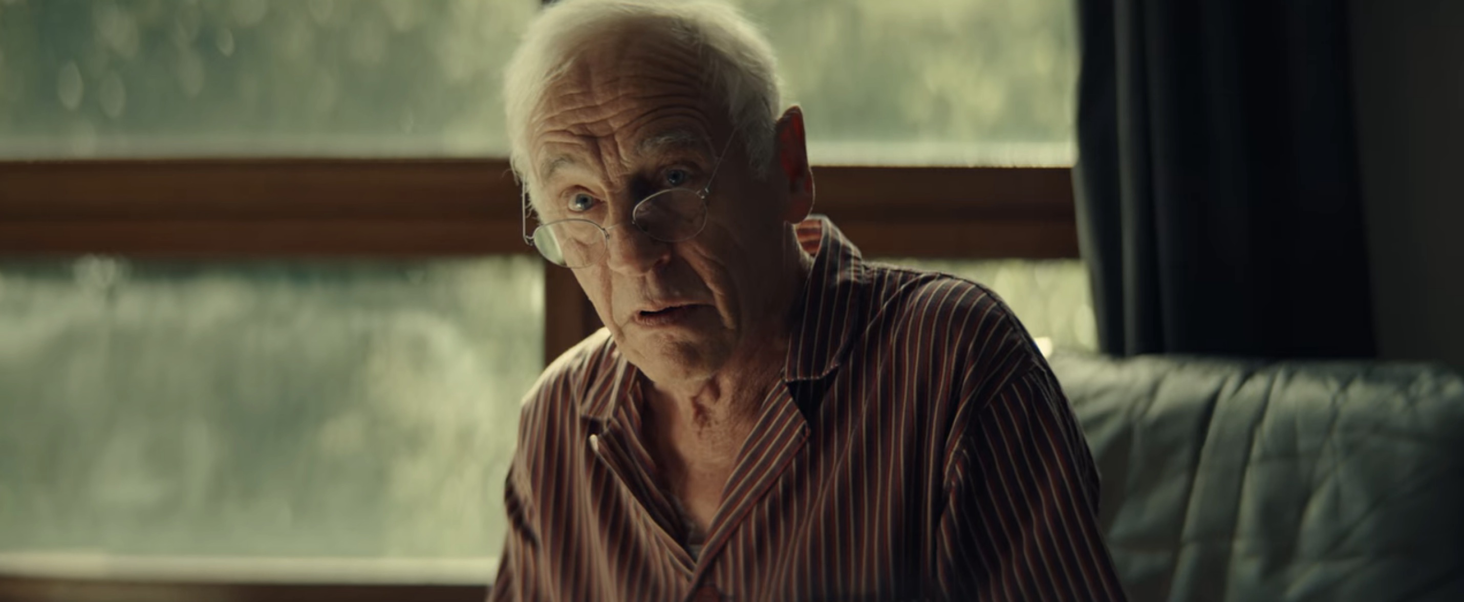 Noise Cast on Netflix - Johan Leysen as Pol