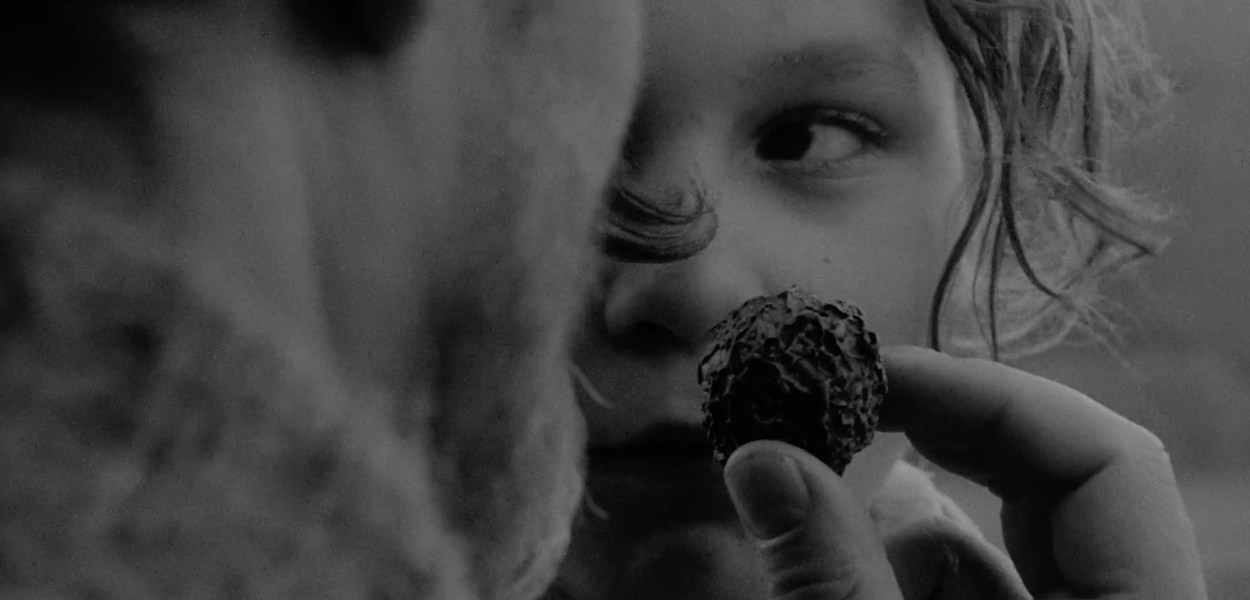 Twilight Essay - 1990 György Fehér Movie Film