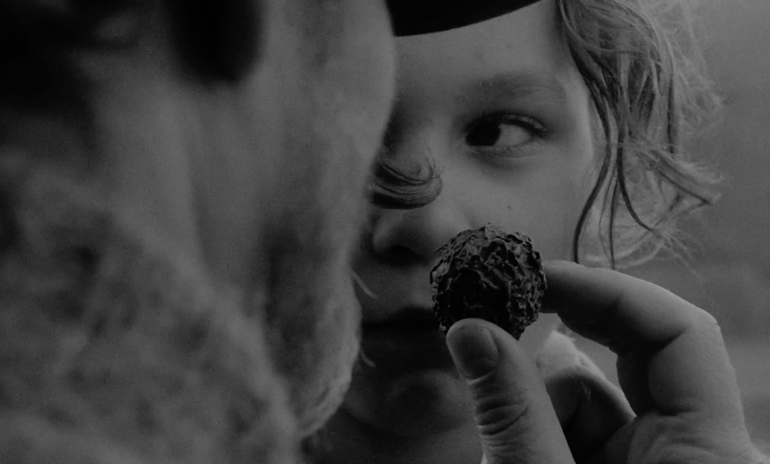 Twilight Essay - 1990 György Fehér Movie Film