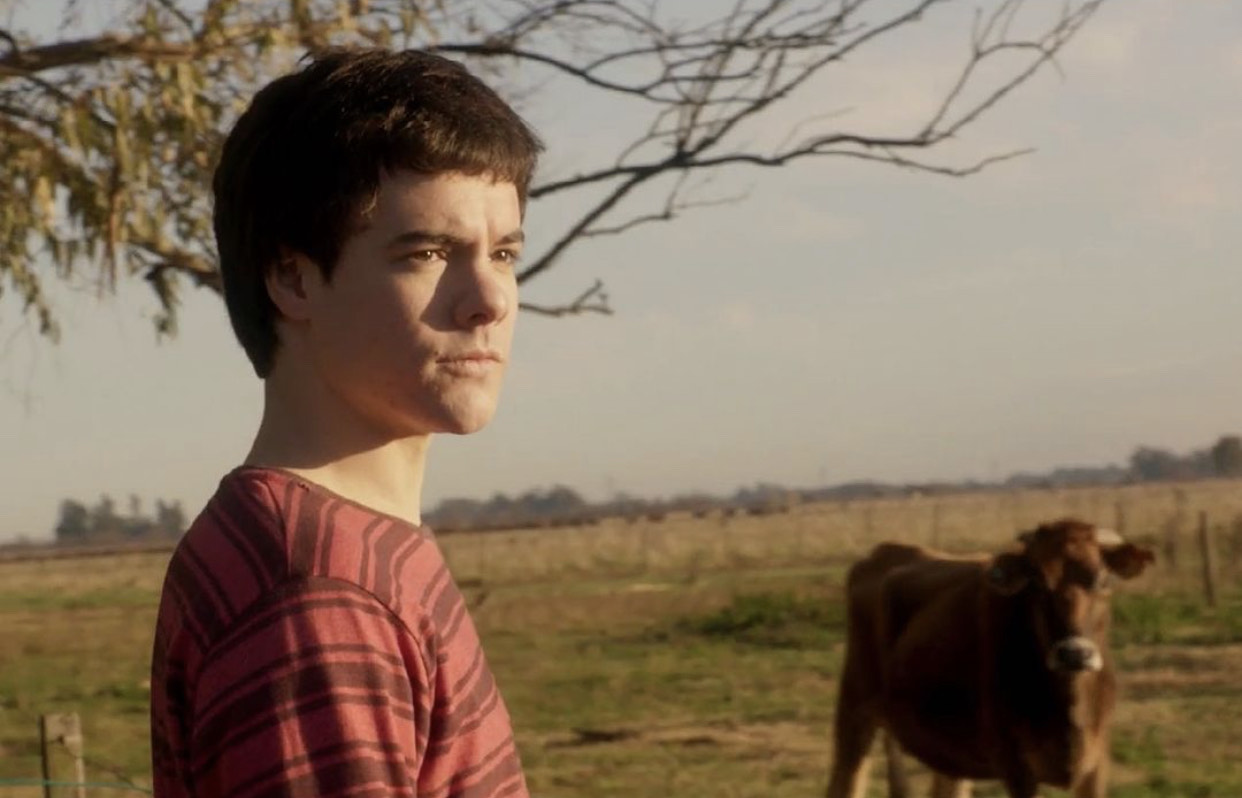 Amor Bandido Review -- 2021 Amor Bandido Review Movie Film