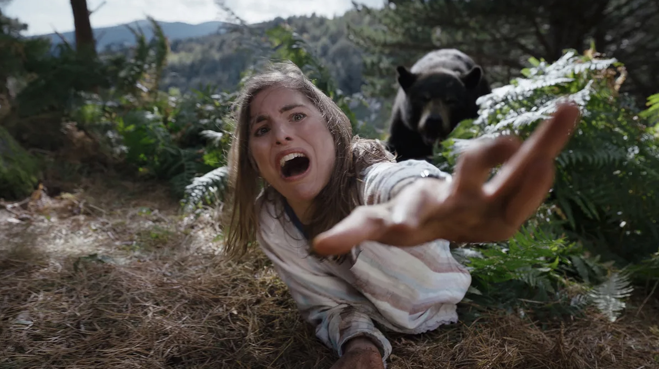 Cocaine Bear Soundtrack - Every Song in the 2023 Movie on Peacock and Amazon