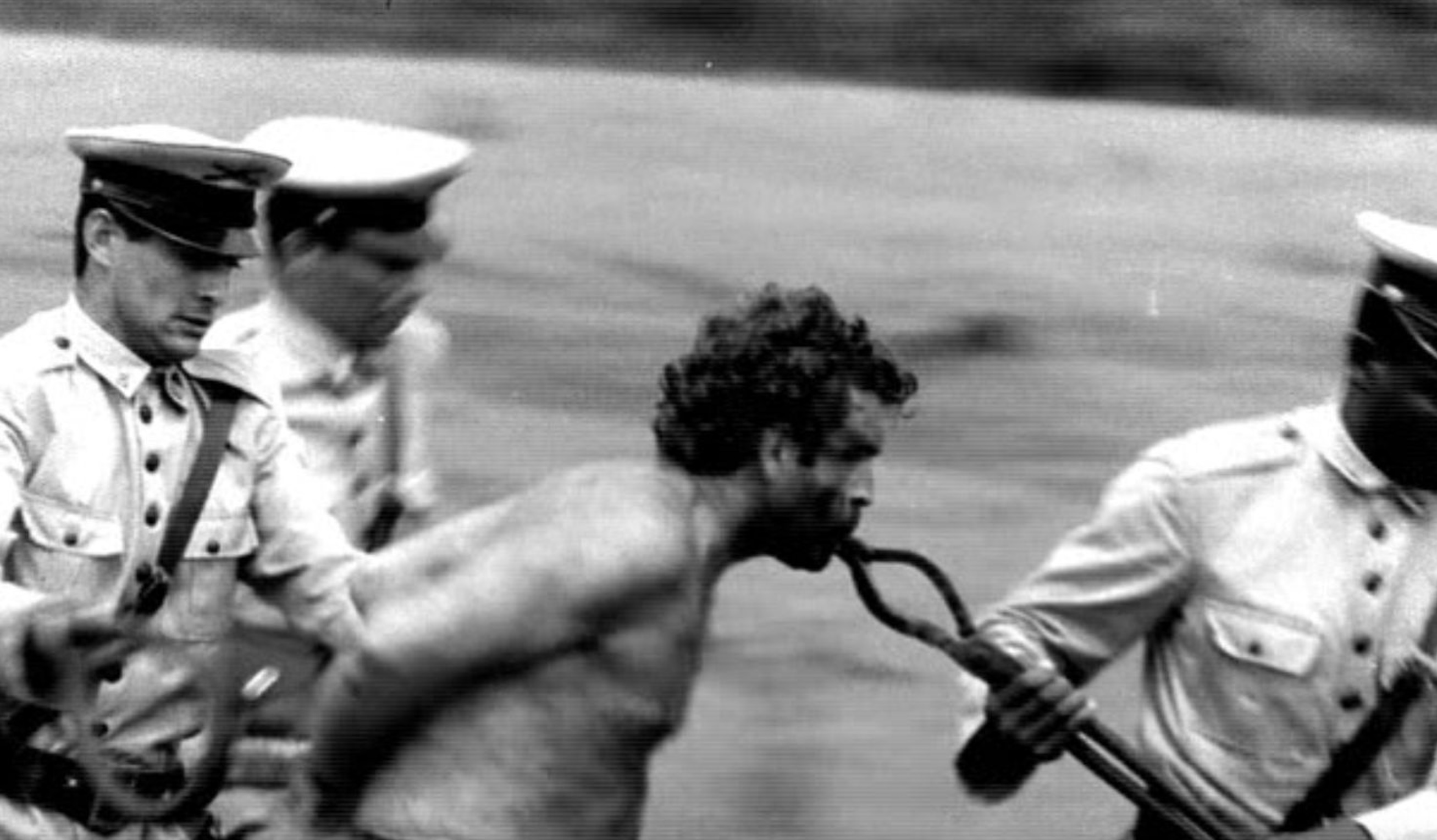 Case of the Naves Brothers Essay - 1967 Luiz Sérgio Person Movie Film