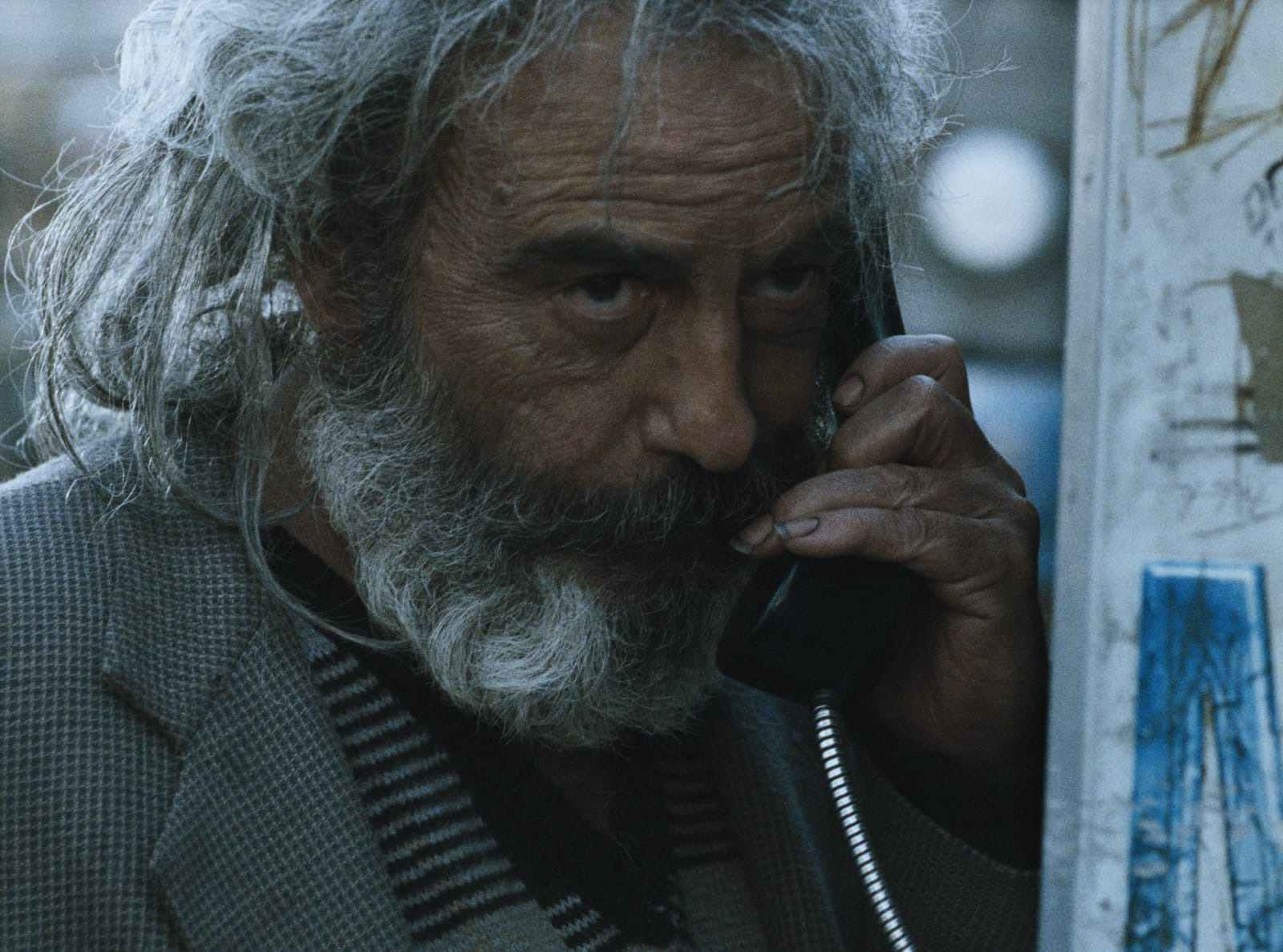 Amores Perros Essay - 2000 Alejandro G. Iñárritu Movie Film