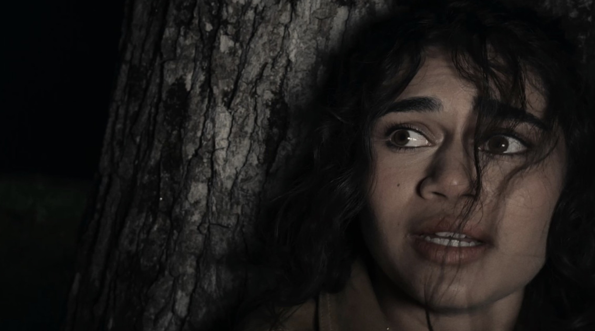 Dagr Review - 2024 Matthew Butler-Hart Movie Film