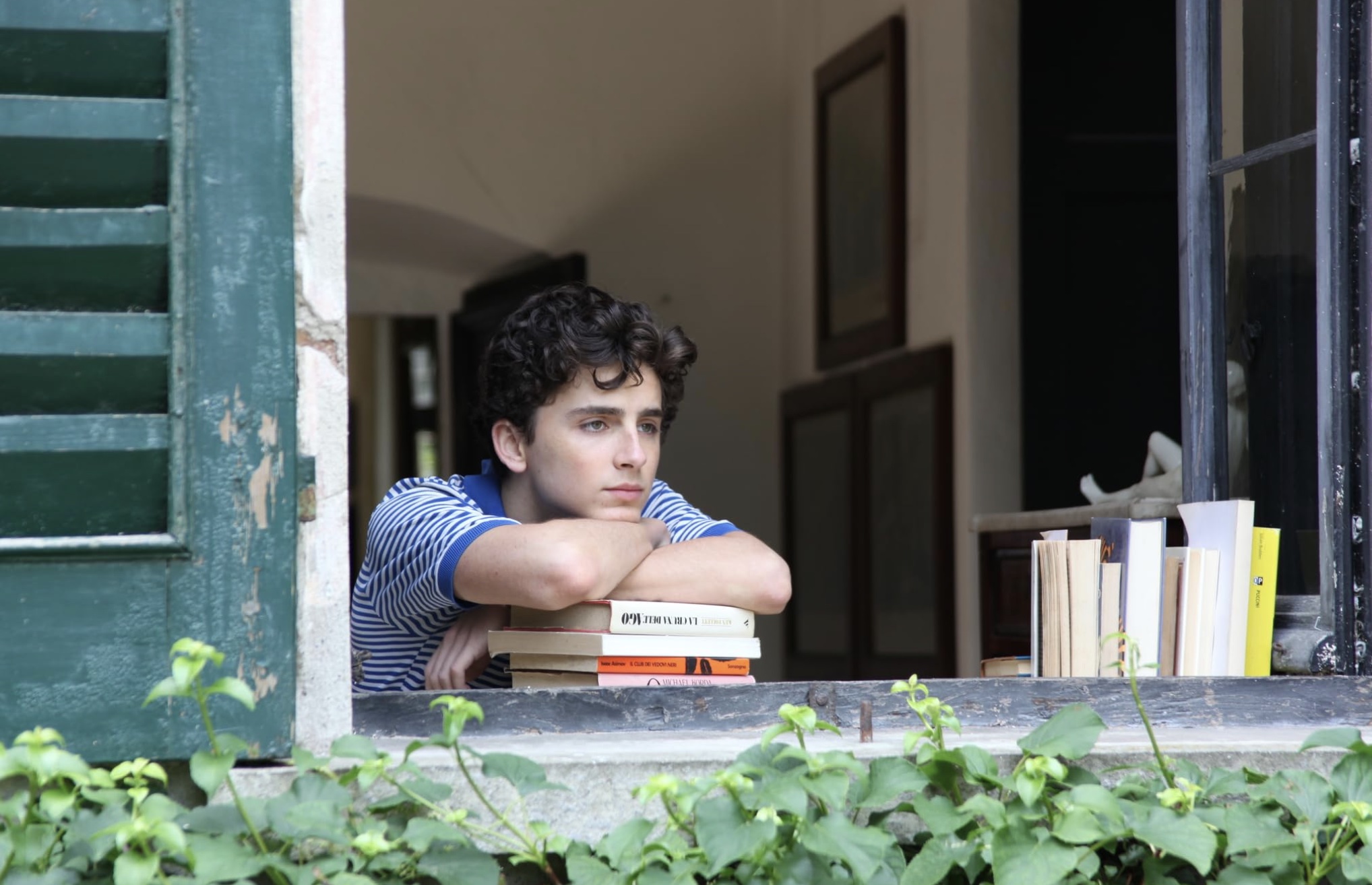 Call Me by Your Name Cast on Hulu - Timothée Chalamet as Elio