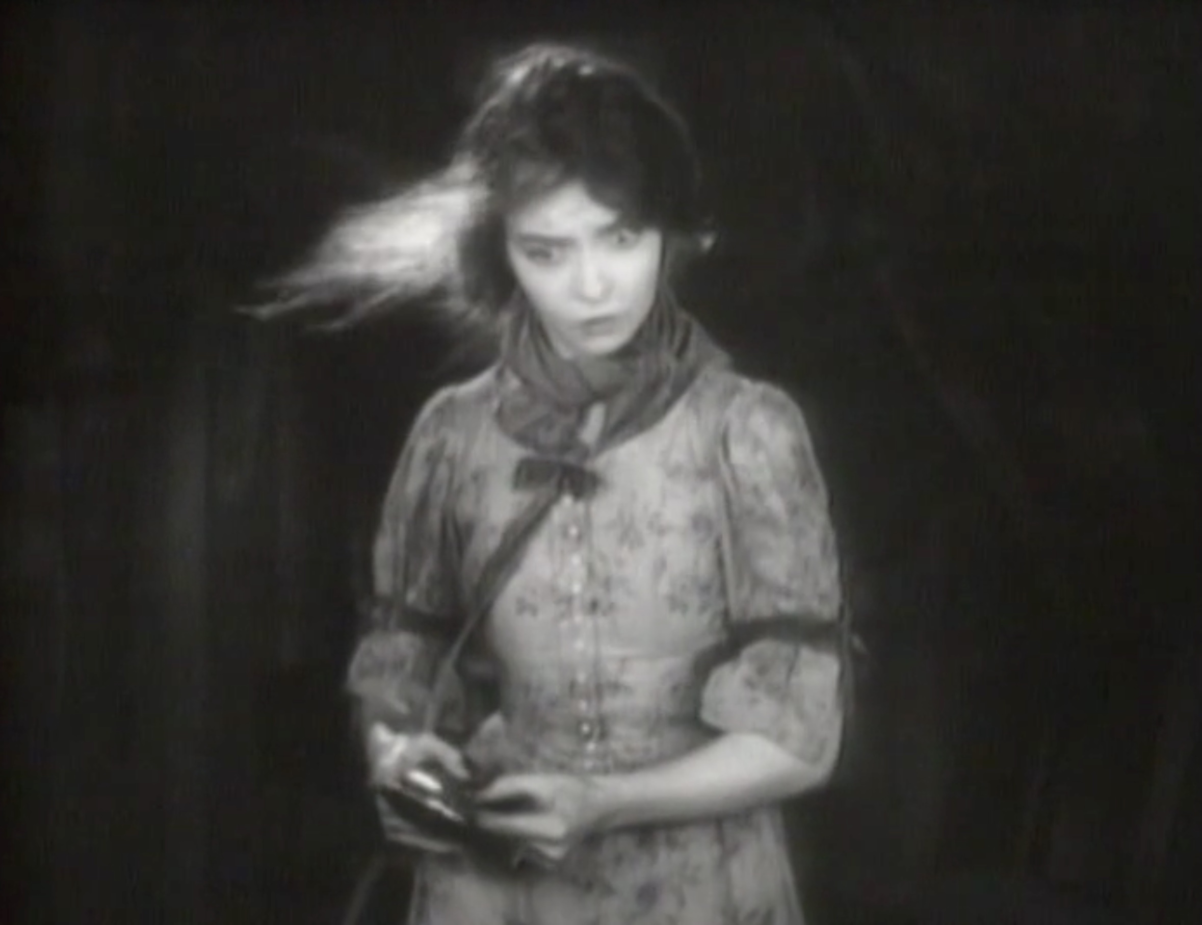 American Film Foundation Essay: Q.V. Hough on Lillian Gish, image size:2358x1814