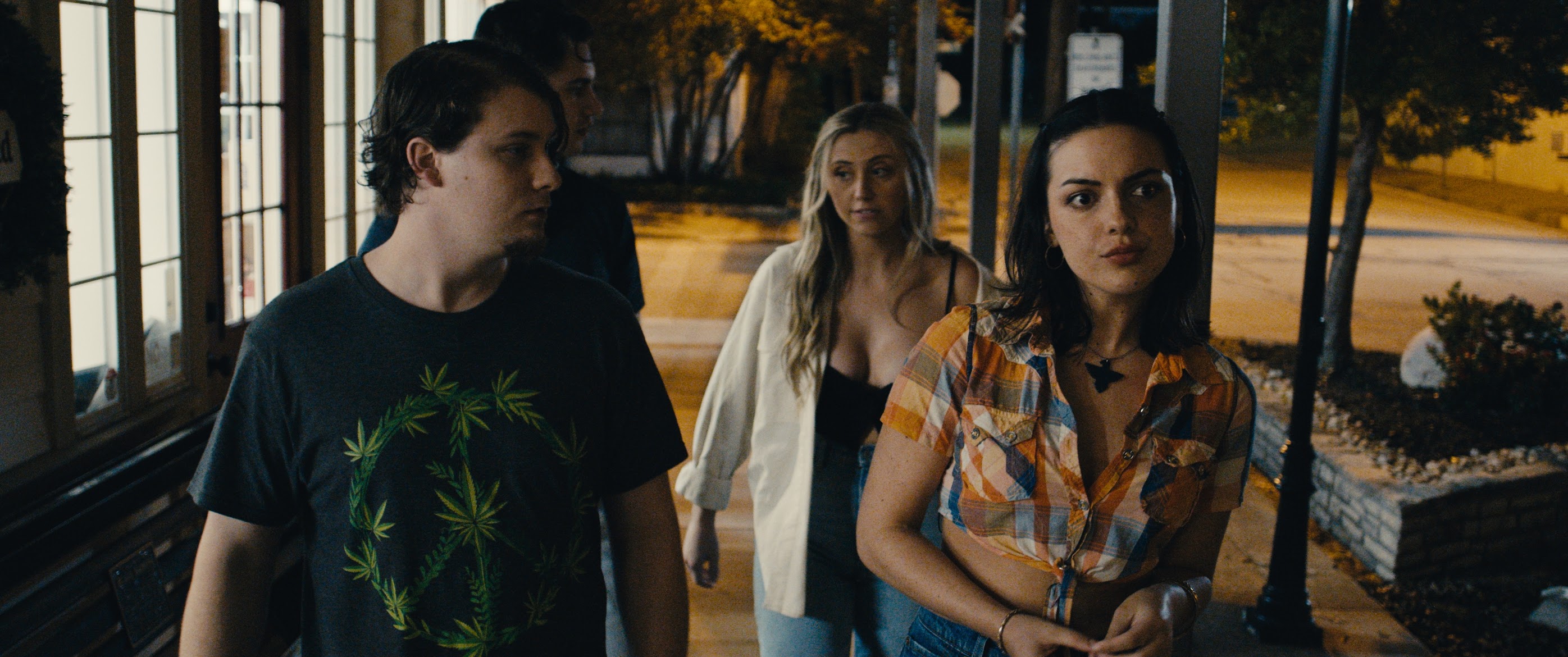 Insane Like Me Review - 2024 Chip Joslin Movie Film on Amazon and Apple