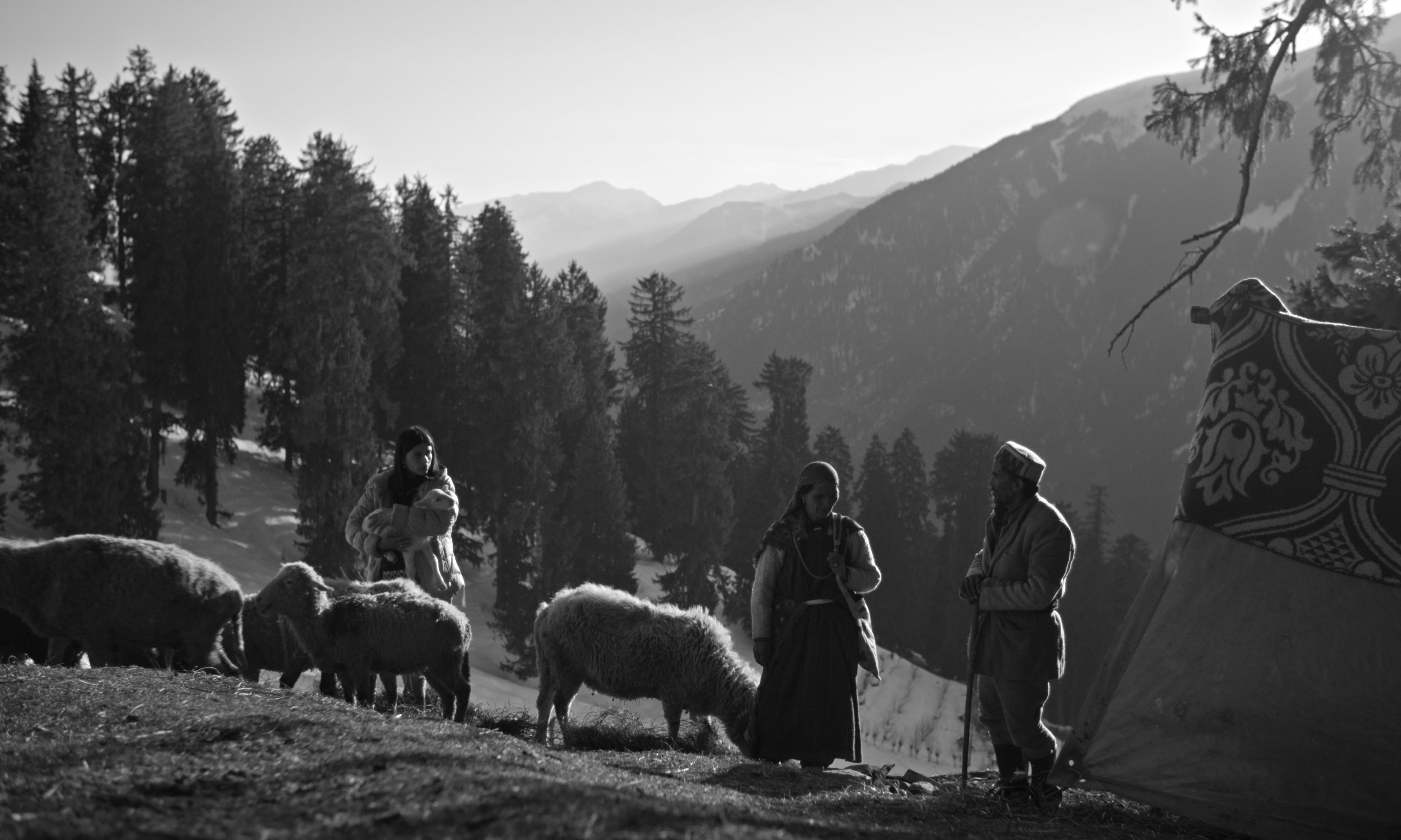 Second Chance Interview - 2024 Subhadra Mahajan Movie Film