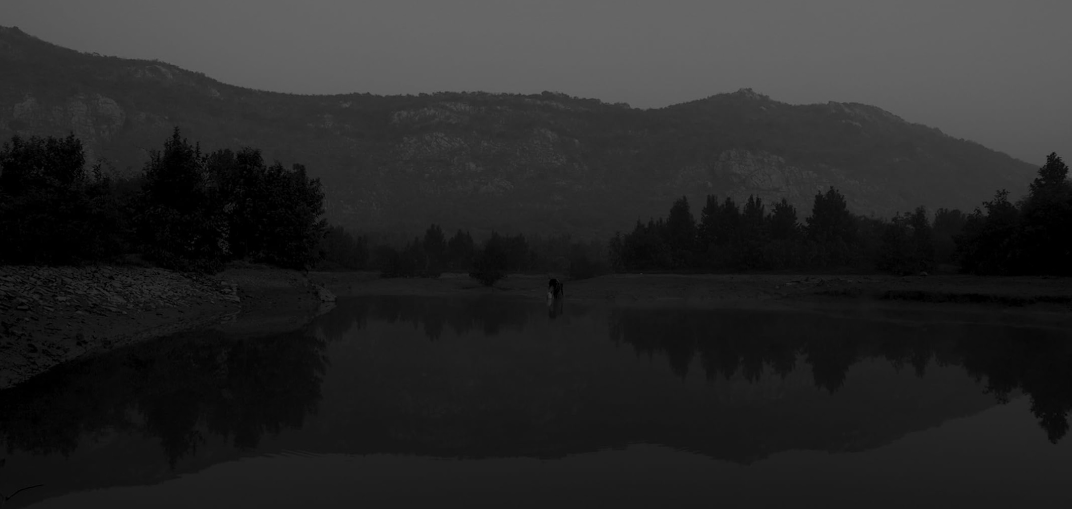 In the Name of Fire Interview - 2024 Abhilash Sharma Movie Film