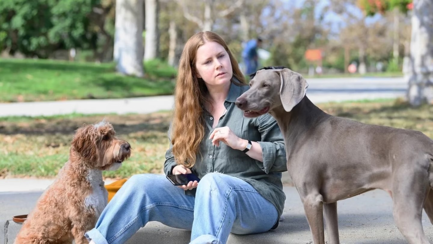 Nightbitch Soundtrack - Every Song in the 2024 Movie on Hulu