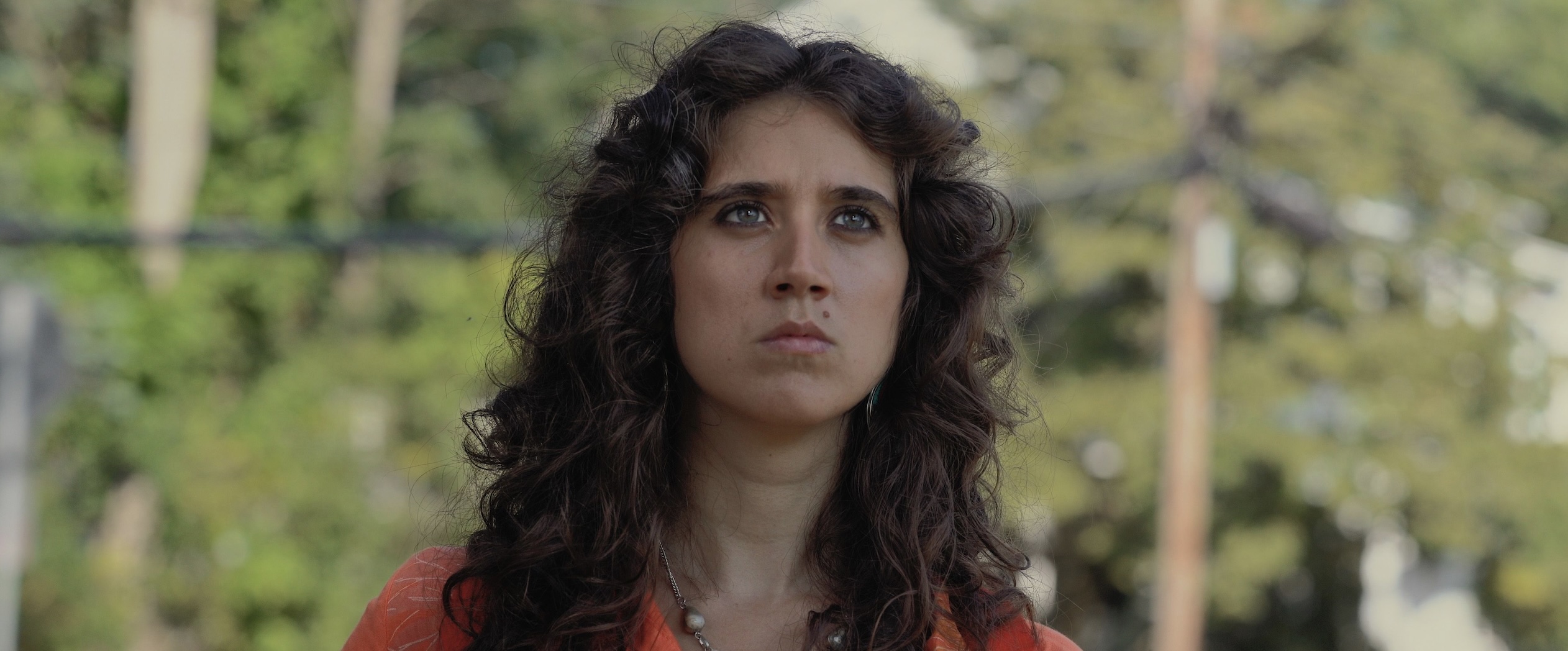 Stockade Review - 2023 Eric McGinty Movie Film