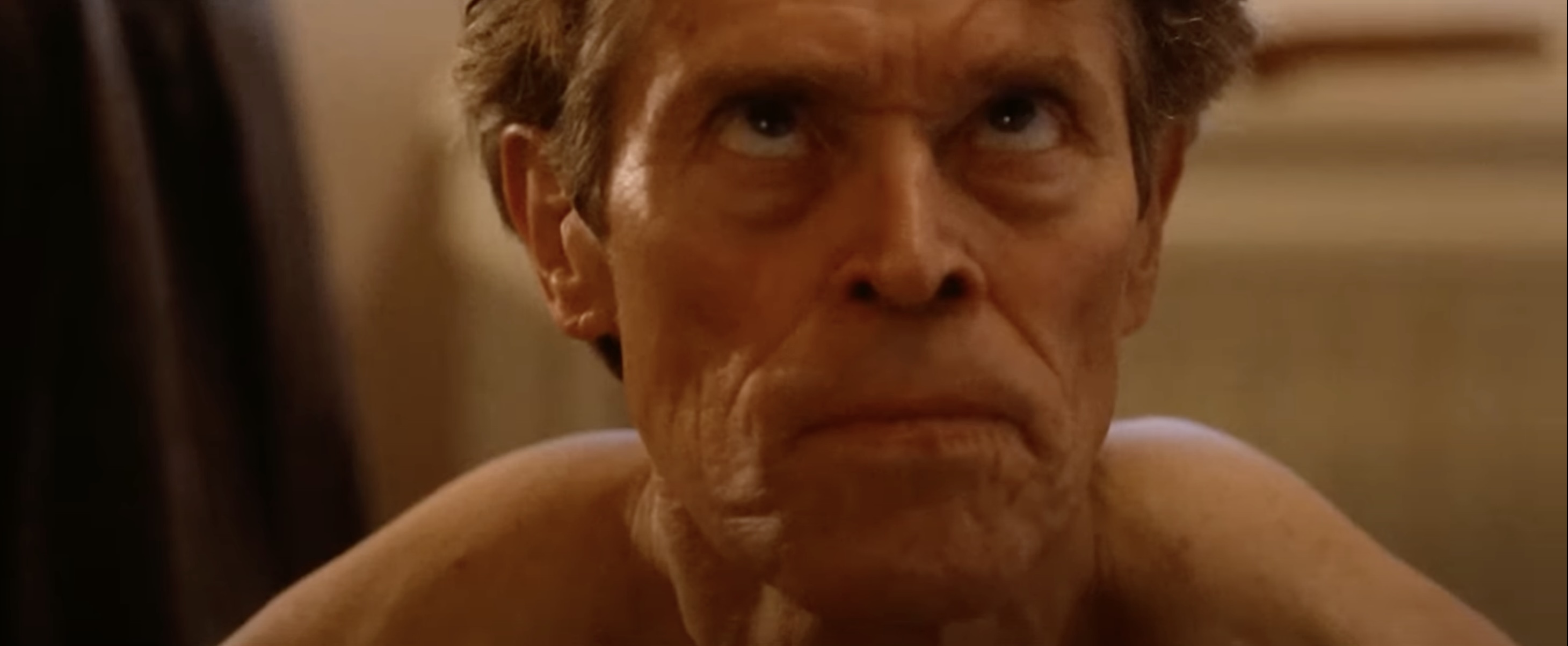 Pet Shop Days Essay - 2023 Olmo Schnabel Movie Film