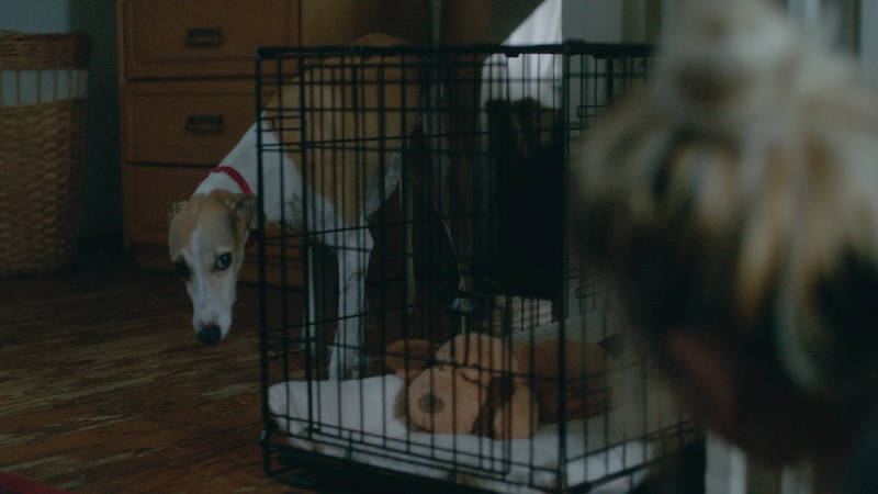 The Heirloom Review - 2024 Ben Petrie Movie Film