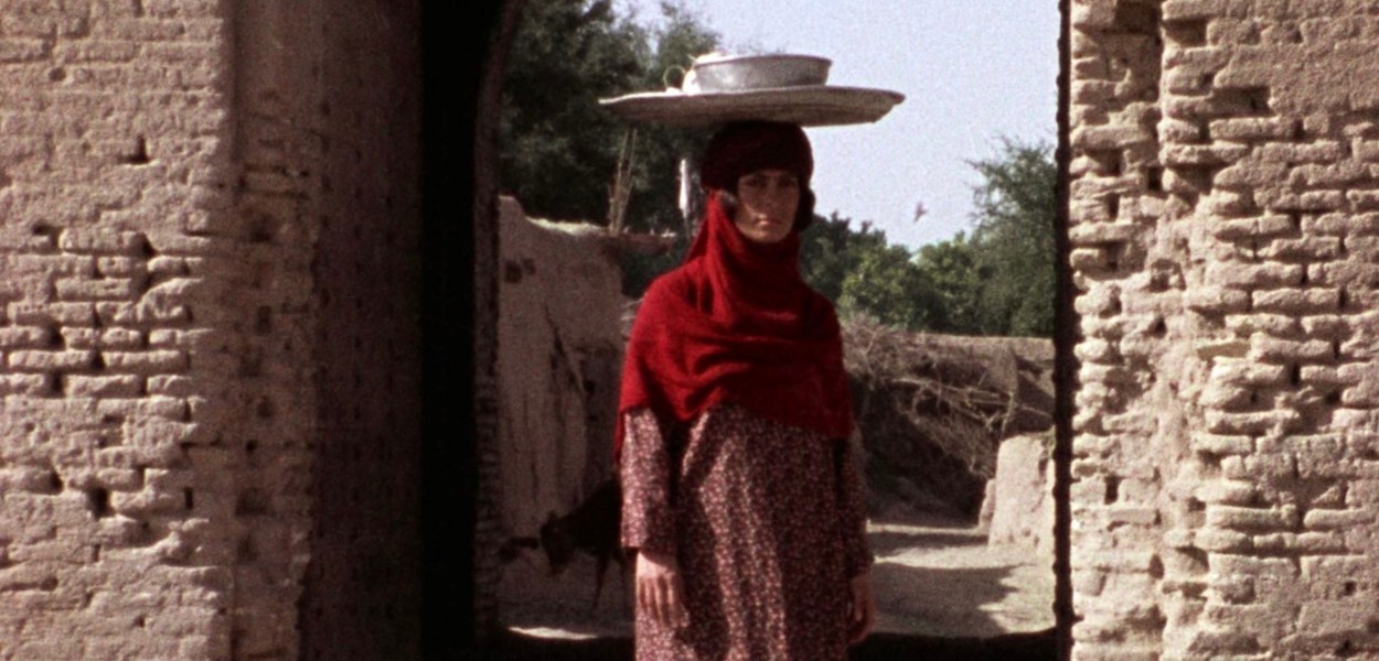 The Sealed Soil Essay - 1977 Marva Nabili Movie Film