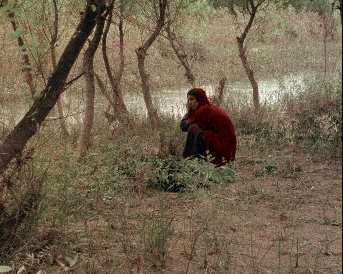 The Sealed Soil Essay - 1977 Marva Nabili Movie Film