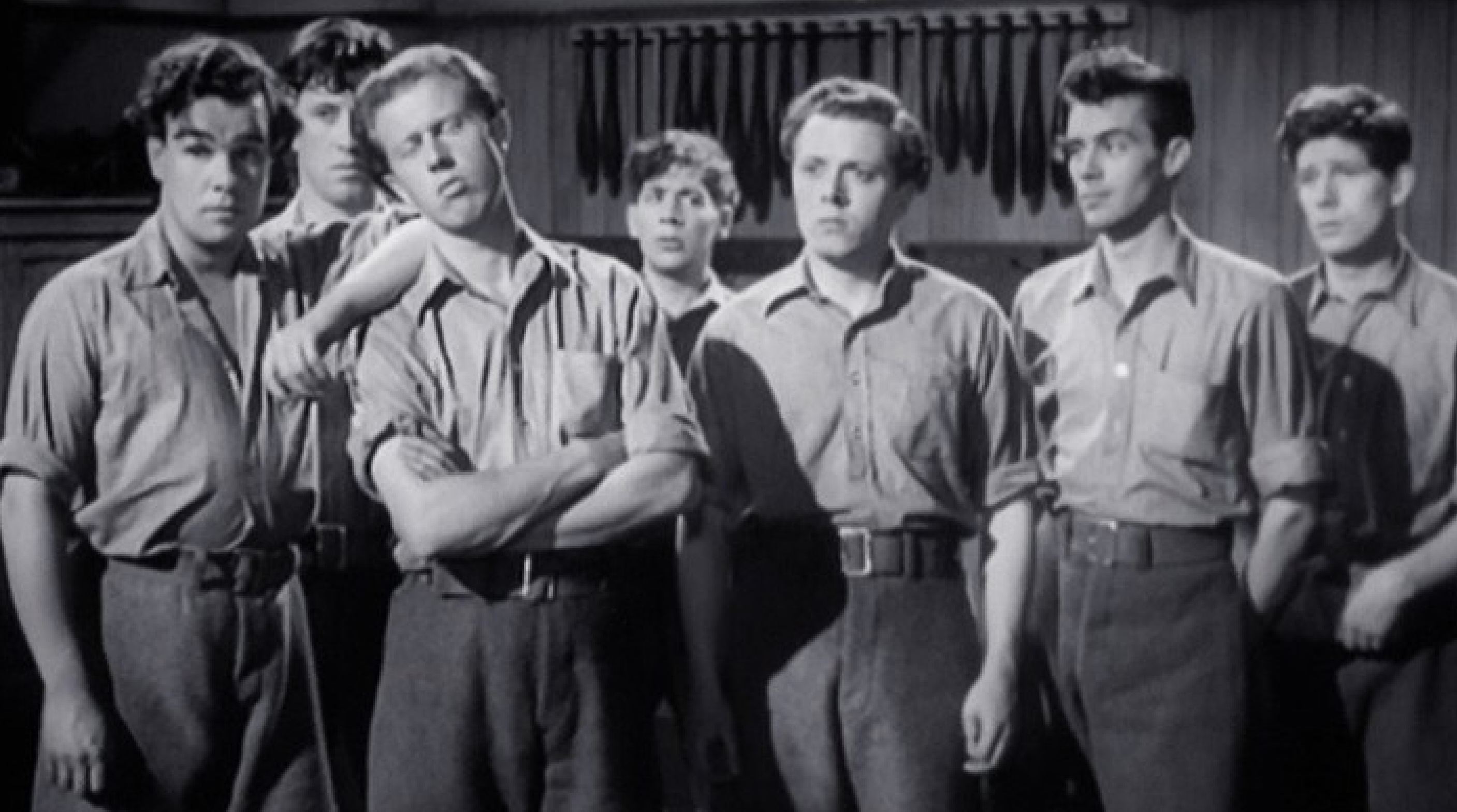 Dirk Bogarde Essay - Boys in Brown Movie Film