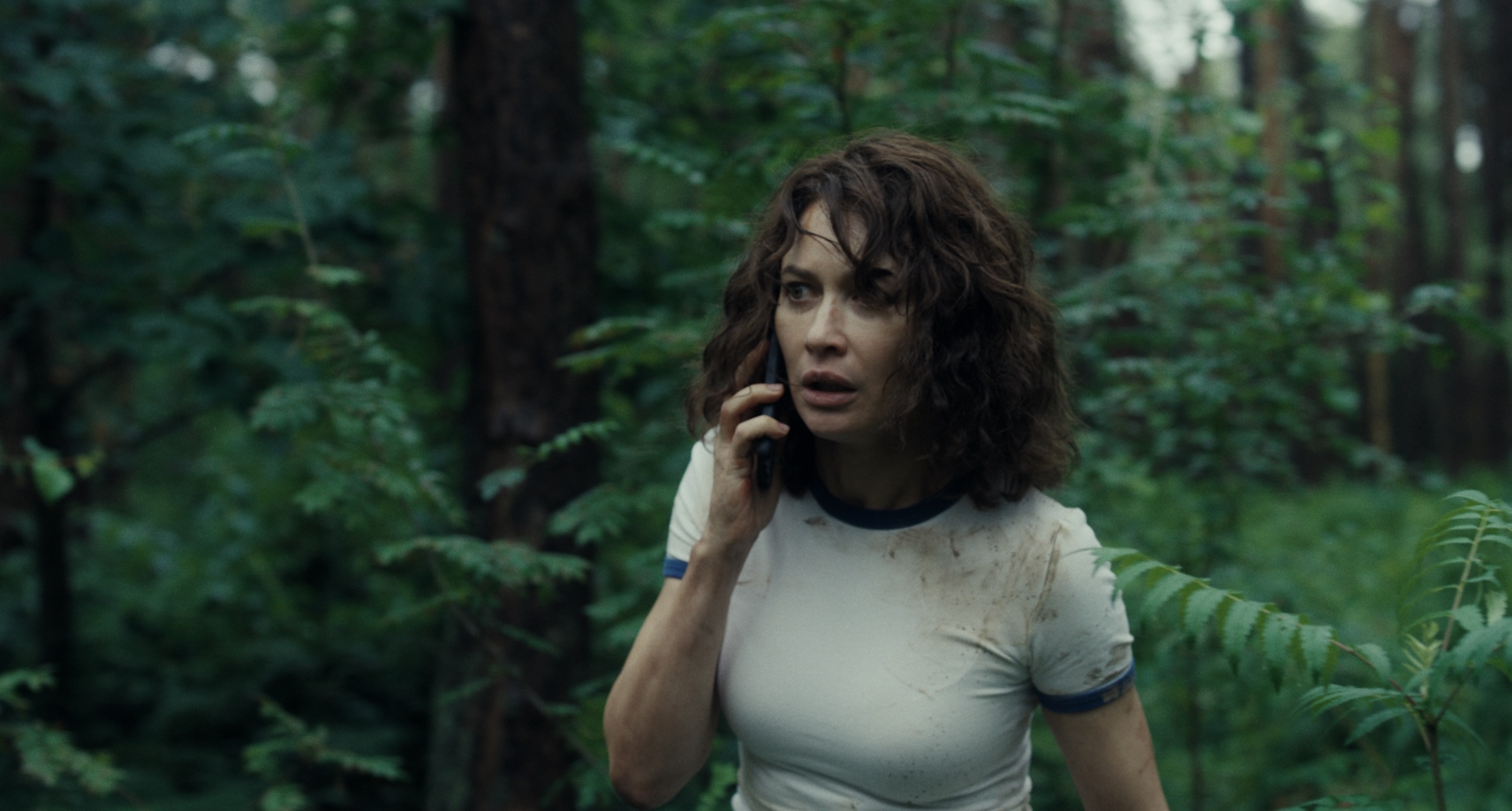 Other Review - 2025 David Moreau Shudder Movie Film on AMC+