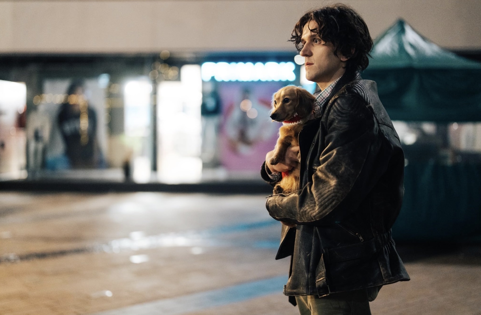 Pillion Essay - 2025 Harry Lighton Movie Film (New Queer Canon)