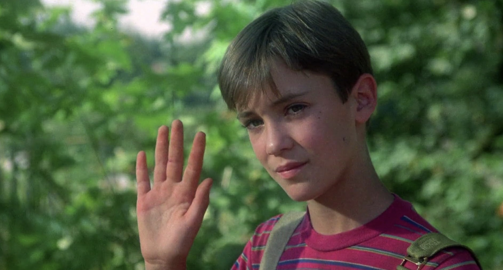 Stand by Me Cast on Amazon and Netflix - Wil Wheaton as Gordie Lachance