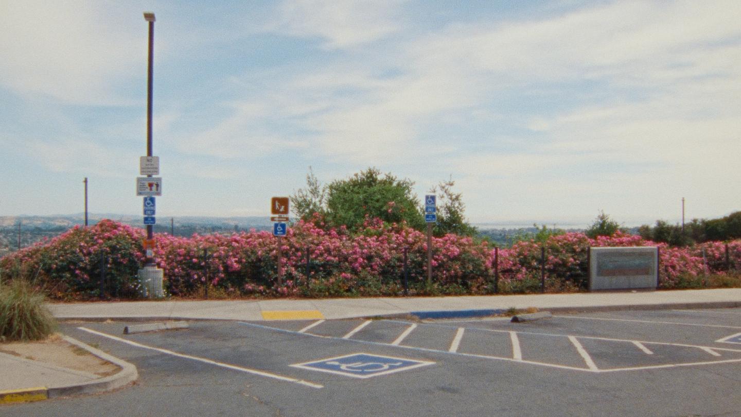 Zodiac Killer Project Review - 2025 Charlie Shackleton Documentary Film/Movie