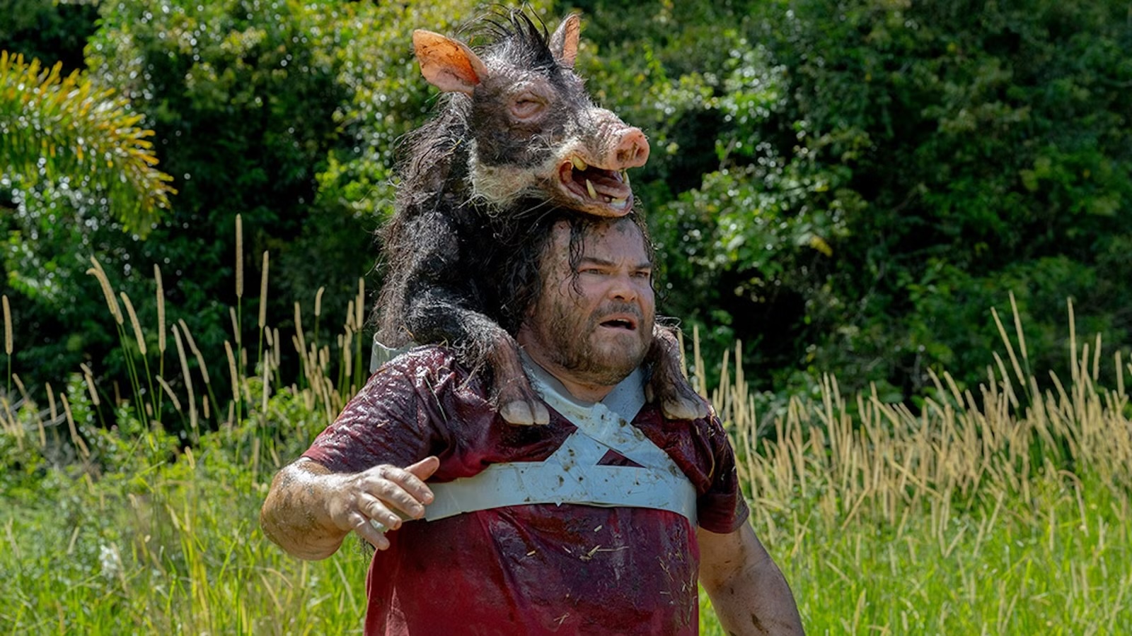 Anaconda Soundtrack - Every Song in the 2025 Movie on Amazon and Netflix