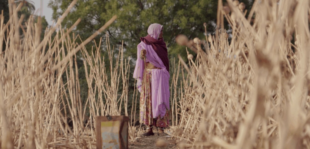 I, Poppy Interview - 2025 Vivek Chaudhary Movie/Film