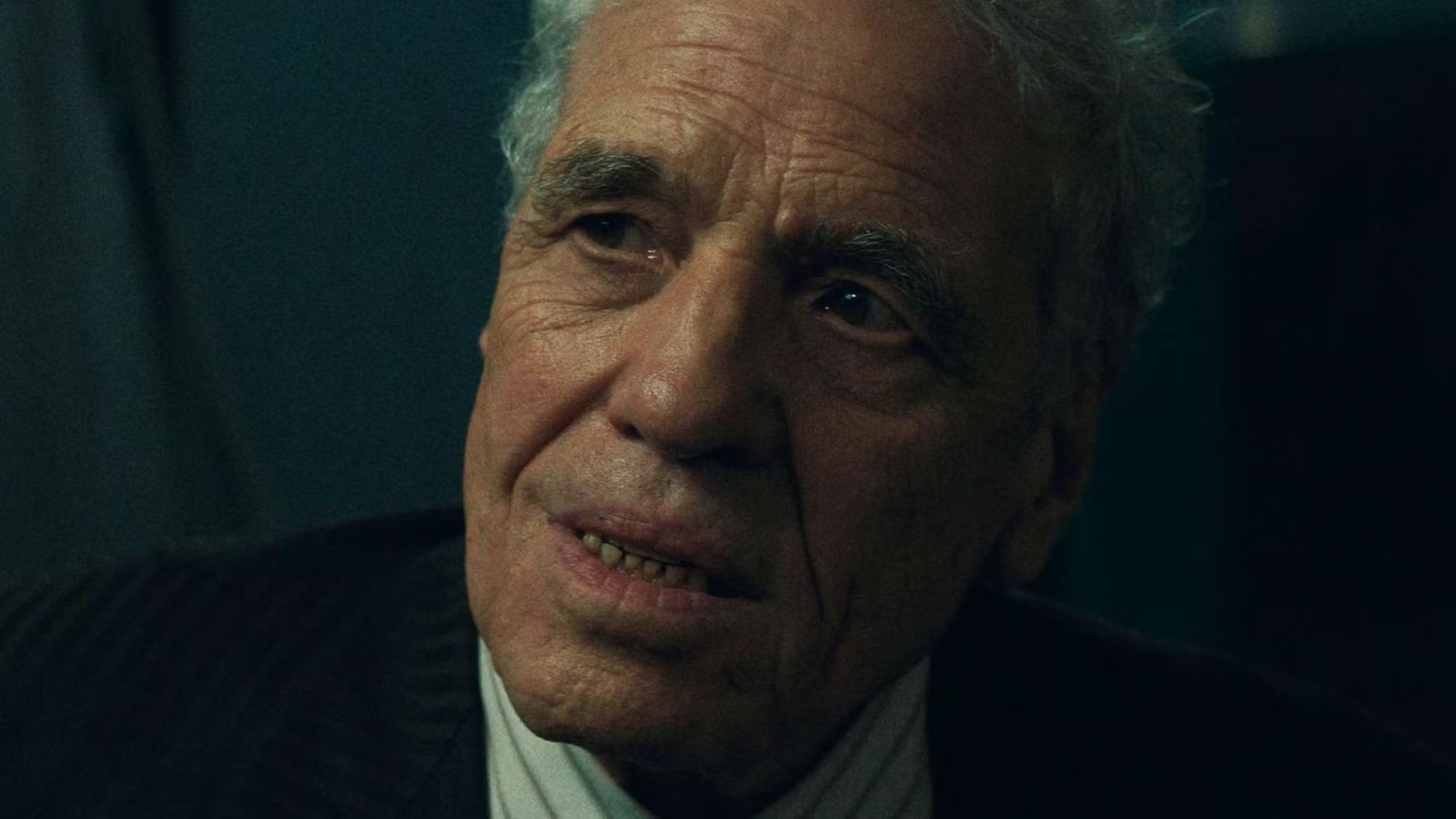 Marty Supreme Cast on Amazon, DIsney+, HBO Max and Hulu - Abel Ferrara as Ezra Mishkin