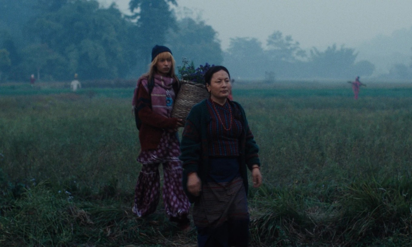 Elephants in the Fog Review - 2026 Abinash Bikram Shah Movie/Film