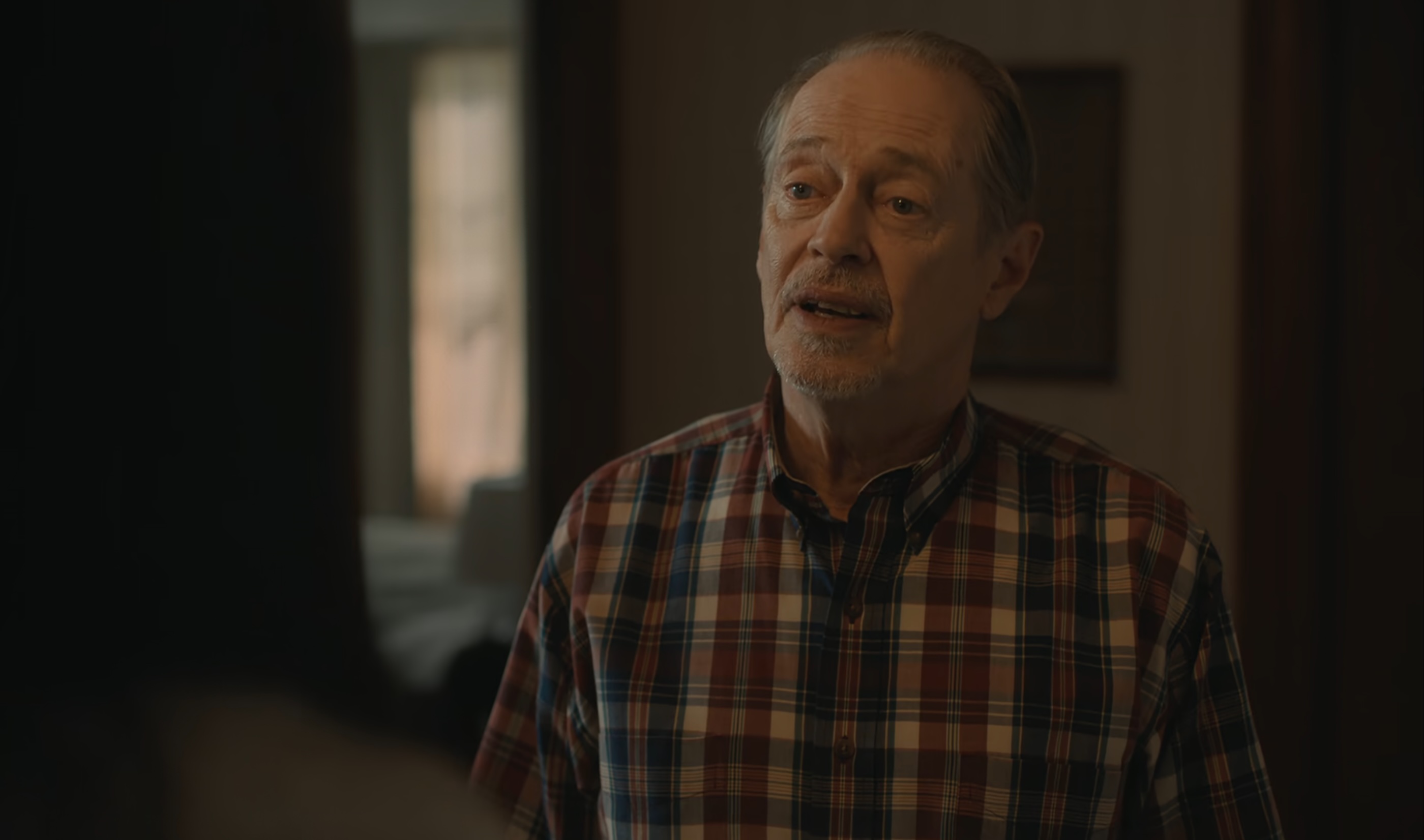 Don't Say Good Luck Cast on Netflix - Steve Buscemi as Dale