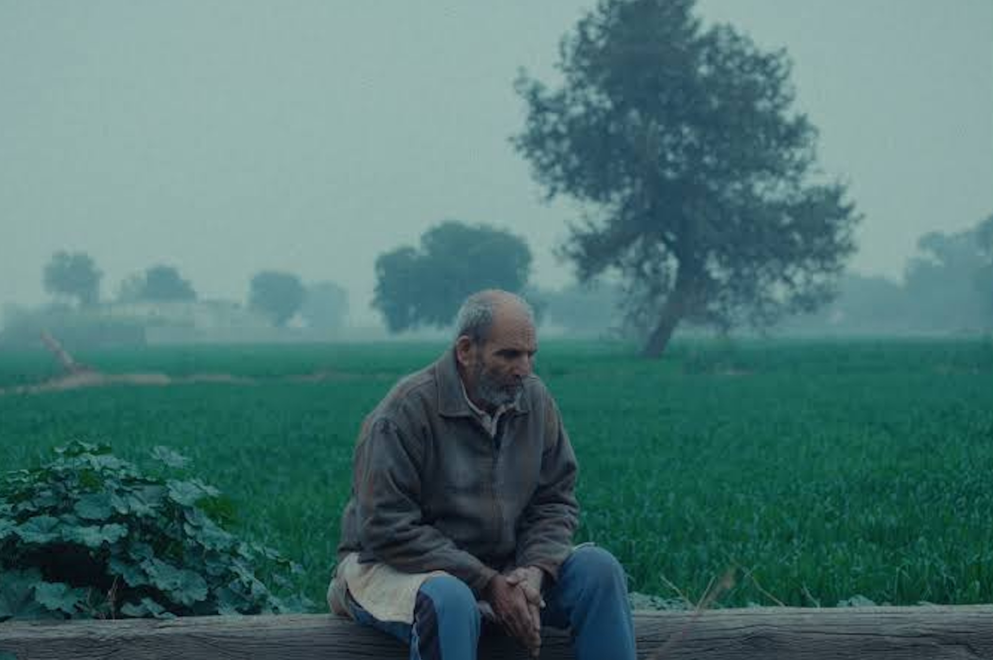 The Calf Doll Review - 2026 Ankur Hooda Movie/Film on Amazon and Apple